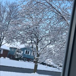 Meet your Posher, Fozia